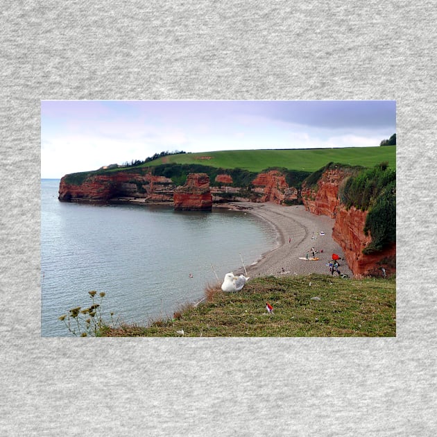 Ladram Bay Jurassic Coast Devon England by AndyEvansPhotos